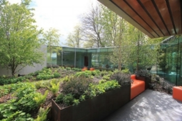 maggies garden 2.jpg